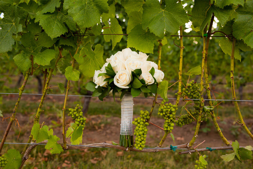 Hunter Valley bouquet on vineyards