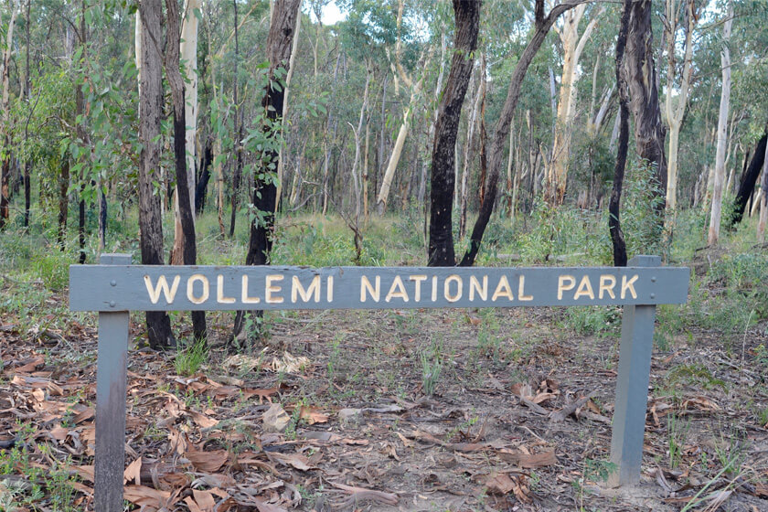 Singleton Wollemi National Park